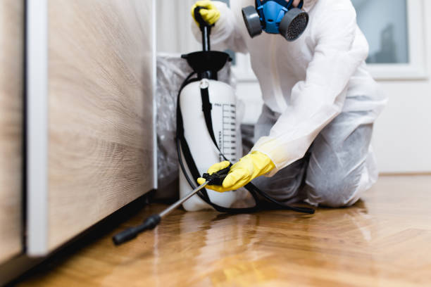 Best Rat Extermination Near Me  in Rice Lake, WI