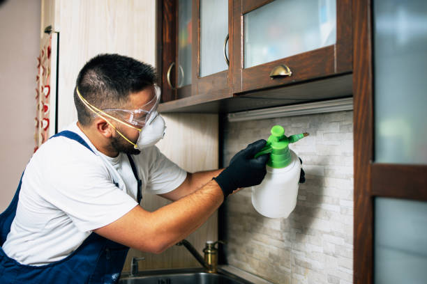 Flea Control Services in Rice Lake, WI
