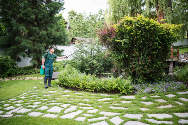 Best Mosquito Control Services  in Rice Lake, WI