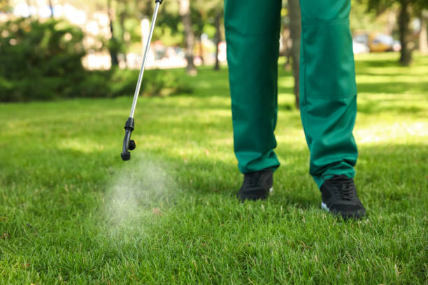 Best Exterminator Services  in Rice Lake, WI