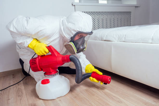 Best Pest Inspection Near Me  in Rice Lake, WI