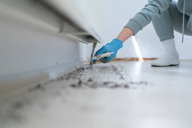 Best Emergency Pest Control  in Rice Lake, WI